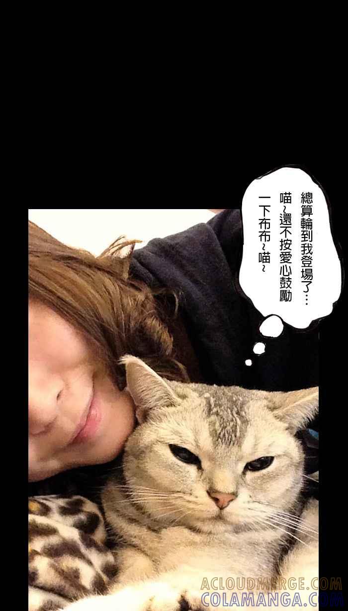 猫剑客 [第66话] 折翼天使 玖，意外再会 第33页
