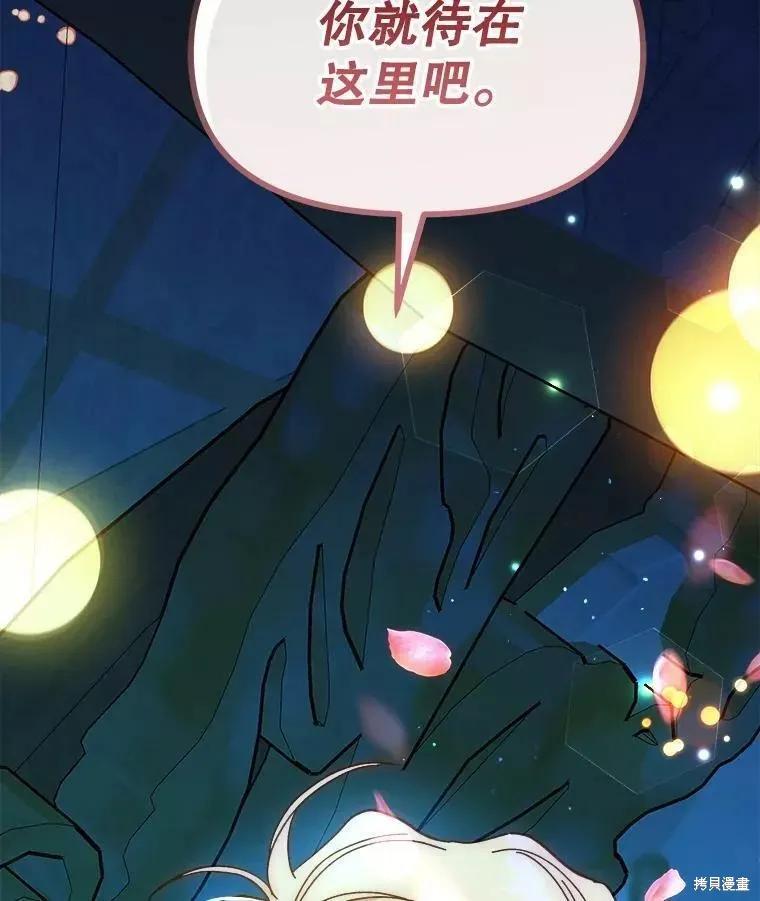 《王女在装疯卖傻》第66话 第164页