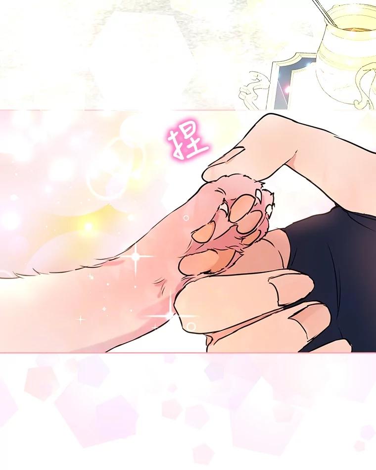 重生为神兽宝宝 - 6.佩伊兰 - 第15张图