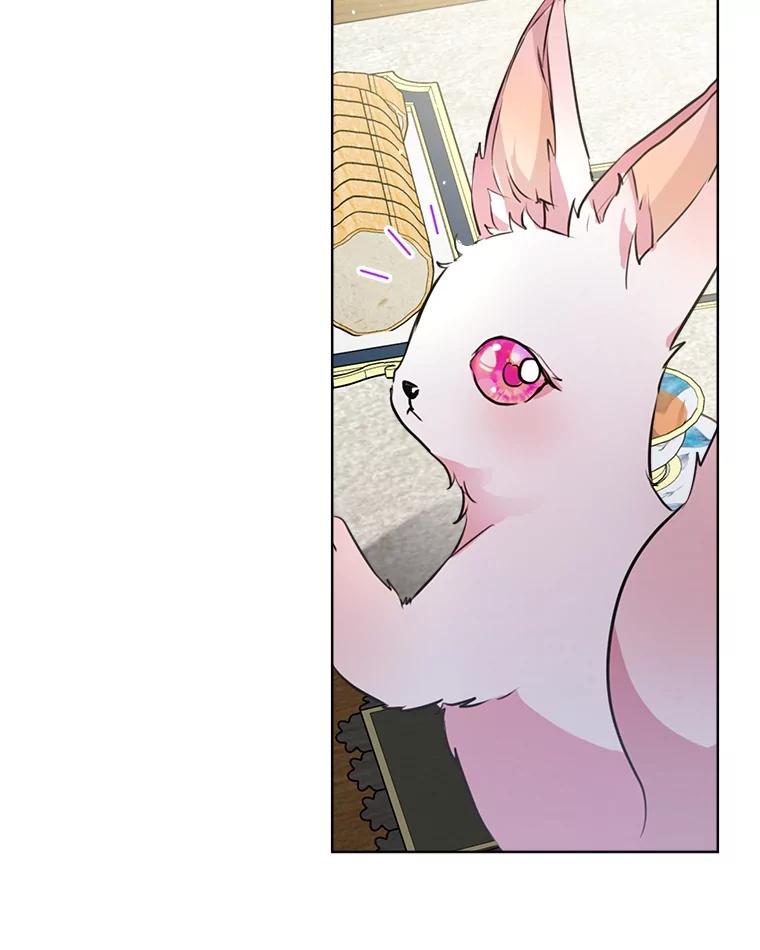 重生为神兽宝宝 - 6.佩伊兰 - 第23张图