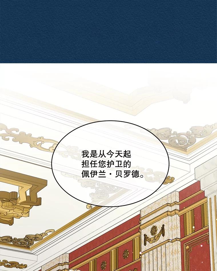 重生为神兽宝宝 - 6.佩伊兰 - 第41张图