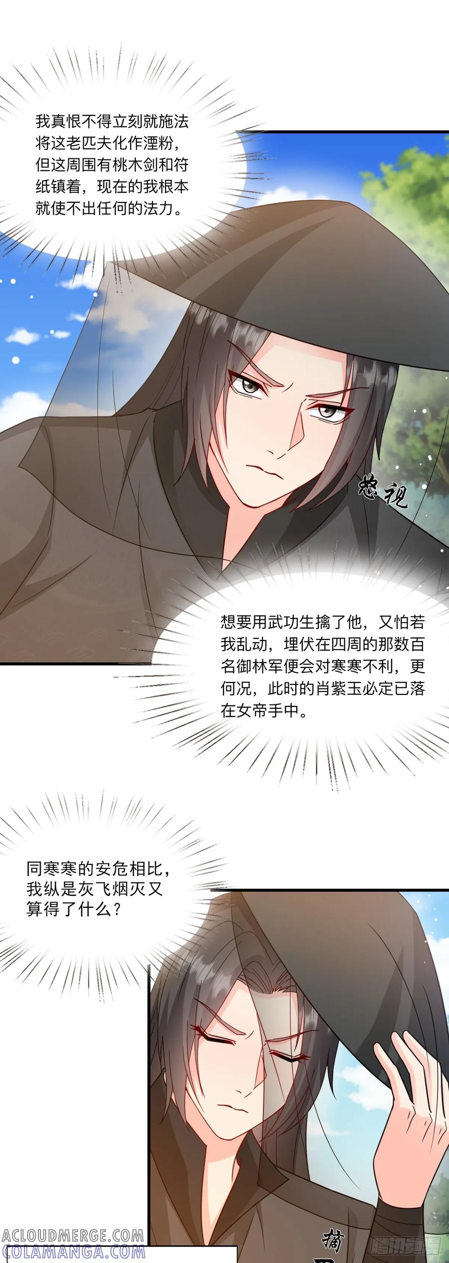 《女尊帝国之朕的倾世男妃们》第3—7话 楚云曦惨遭毁容 第3页