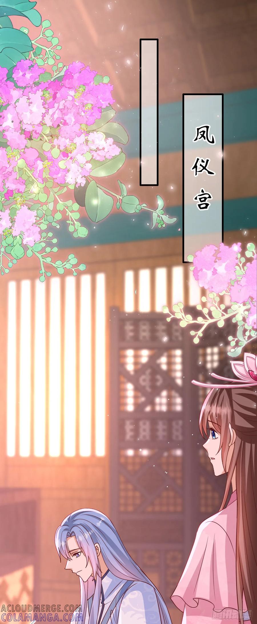 《女尊帝国之朕的倾世男妃们》第3—17话 花样百出 第15页