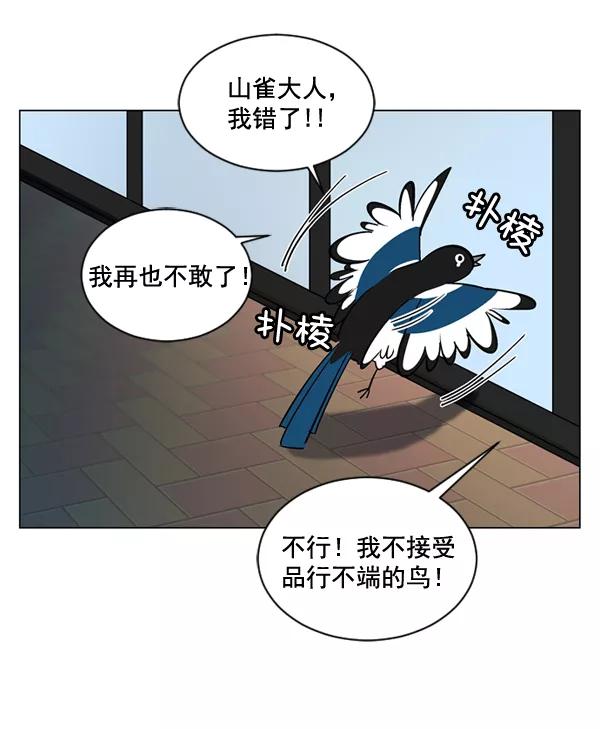《小麻雀求婚记》第17话 第51页