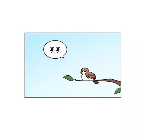 《小麻雀求婚记》第26话 第54页