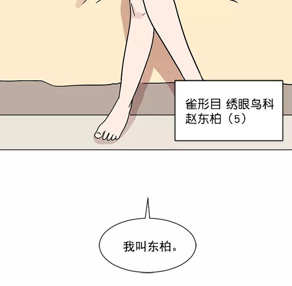 《小麻雀求婚记》第26话 第66页