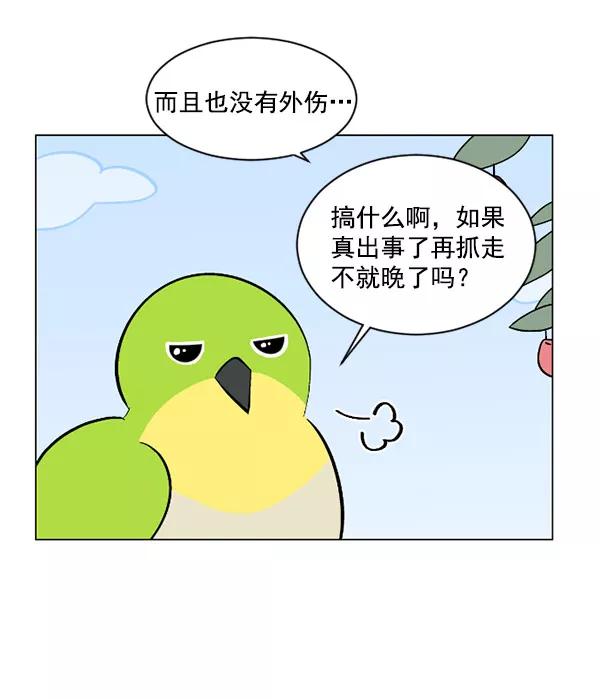 《小麻雀求婚记》第31话 第36页