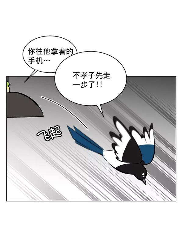 《小麻雀求婚记》第32话 第50页