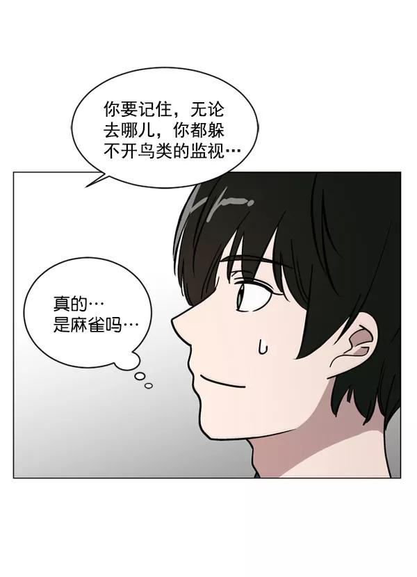 《小麻雀求婚记》第32话 第68页