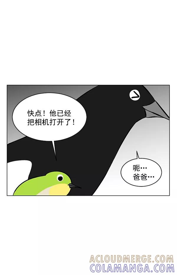 《小麻雀求婚记》第32话 第49页