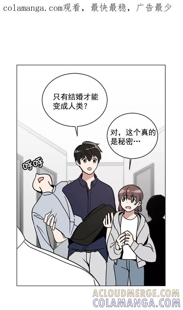 《小麻雀求婚记》第33话 第1页