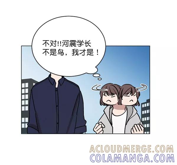 《小麻雀求婚记》第33话 第61页