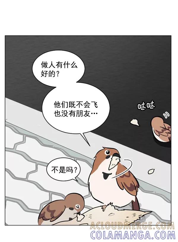 《小麻雀求婚记》第34话 第22页