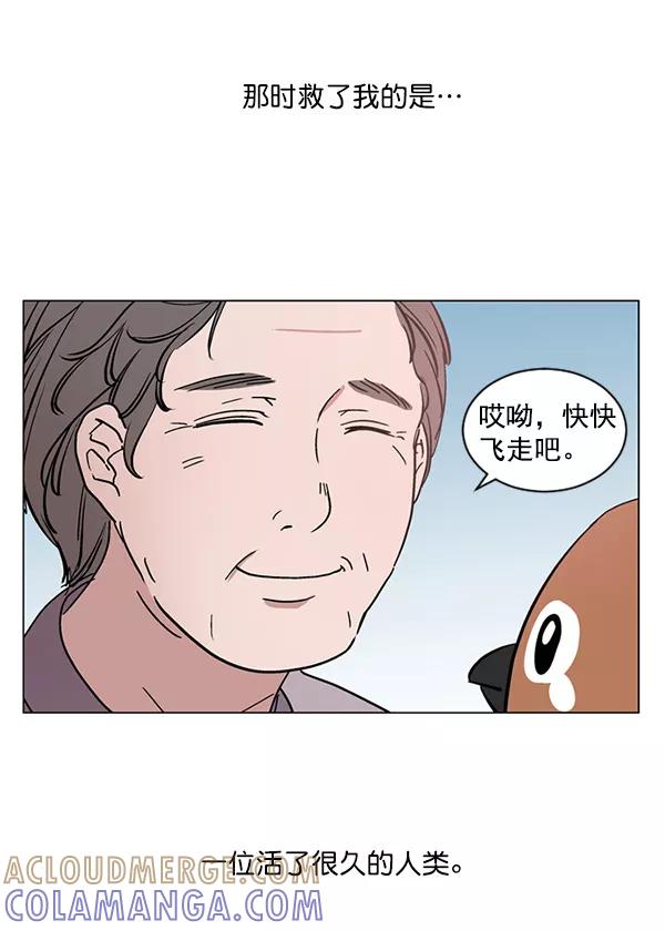 《小麻雀求婚记》第34话 第43页