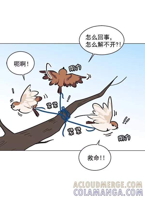 《小麻雀求婚记》第34话 第34页