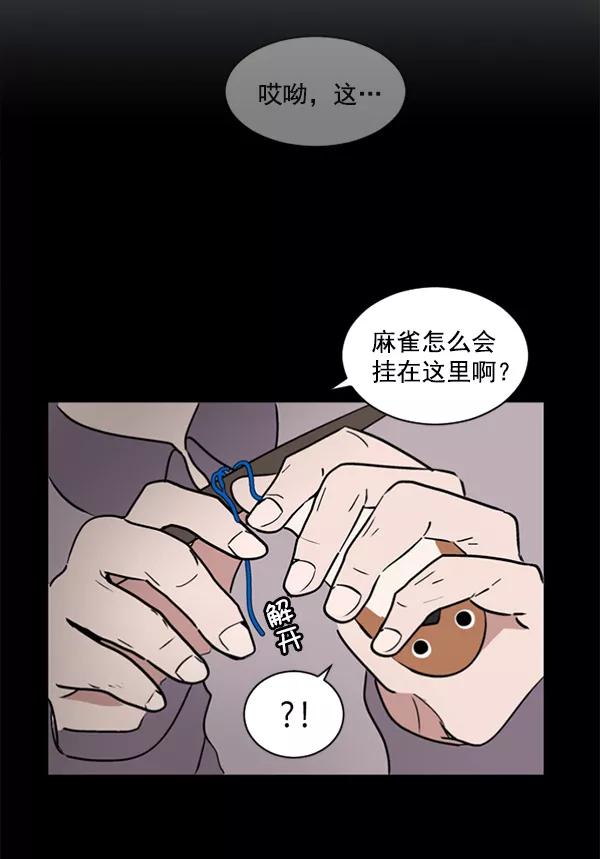 《小麻雀求婚记》第34话 第41页