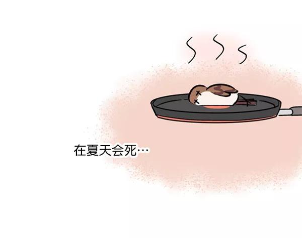 《小麻雀求婚记》第34话 第29页