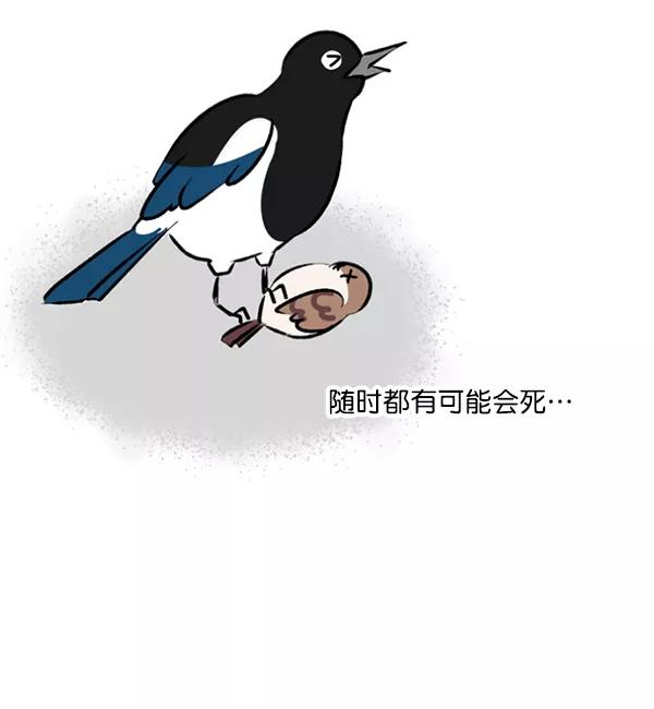 《小麻雀求婚记》第34话 第30页
