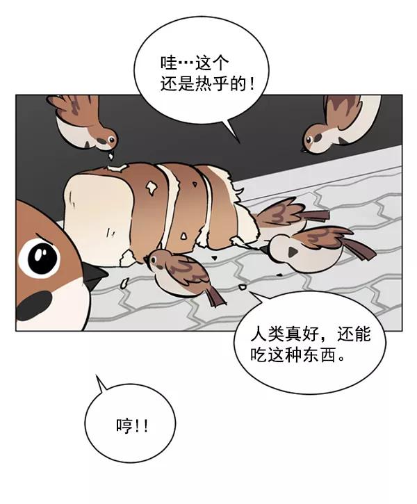《小麻雀求婚记》第34话 第21页
