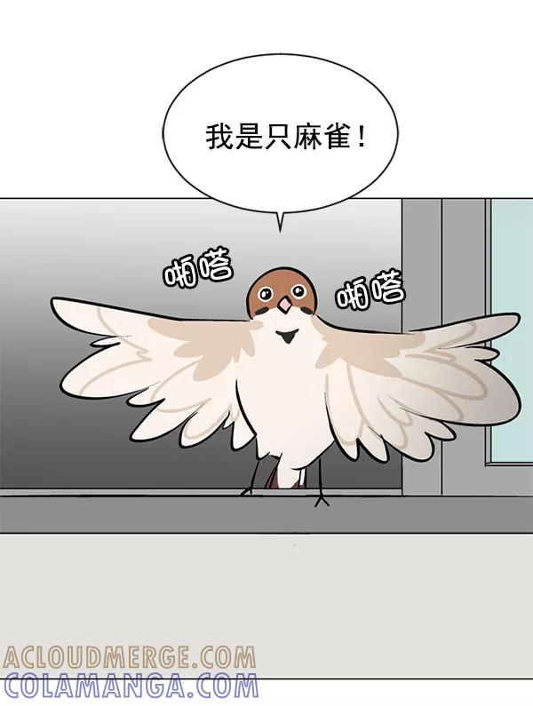 《小麻雀求婚记》第36话 第61页
