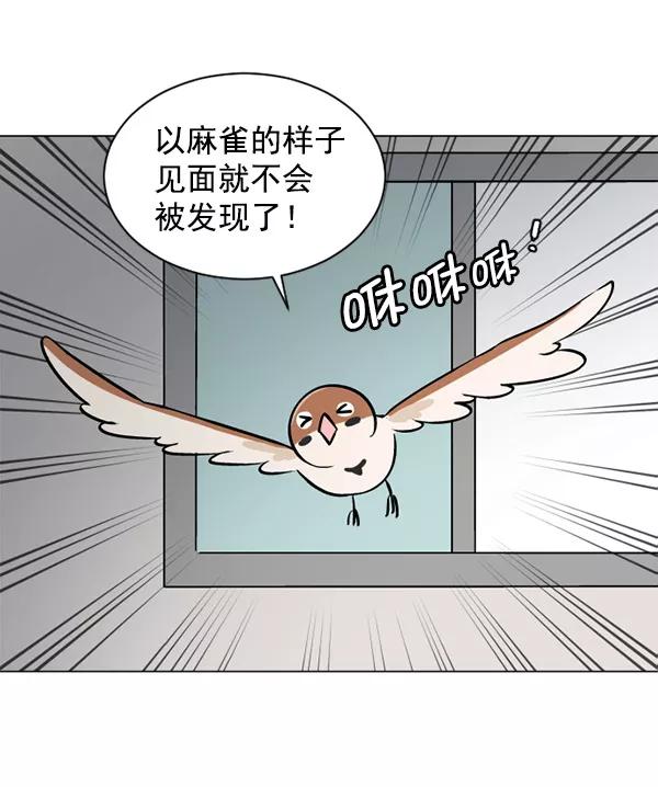 《小麻雀求婚记》第36话 第63页