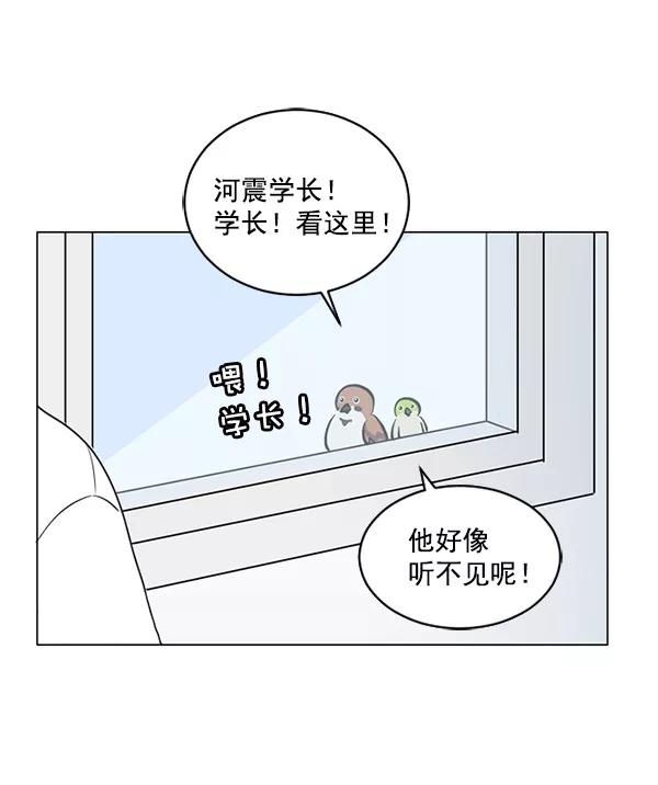 《小麻雀求婚记》第37话 第6页