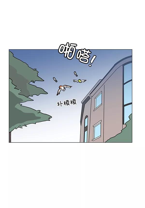《小麻雀求婚记》第37话 第44页