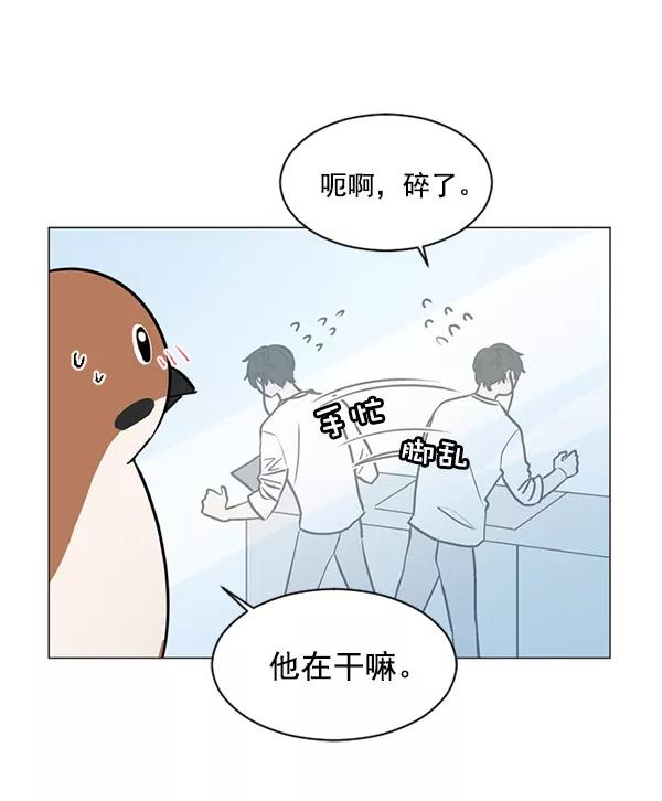 《小麻雀求婚记》第37话 第35页
