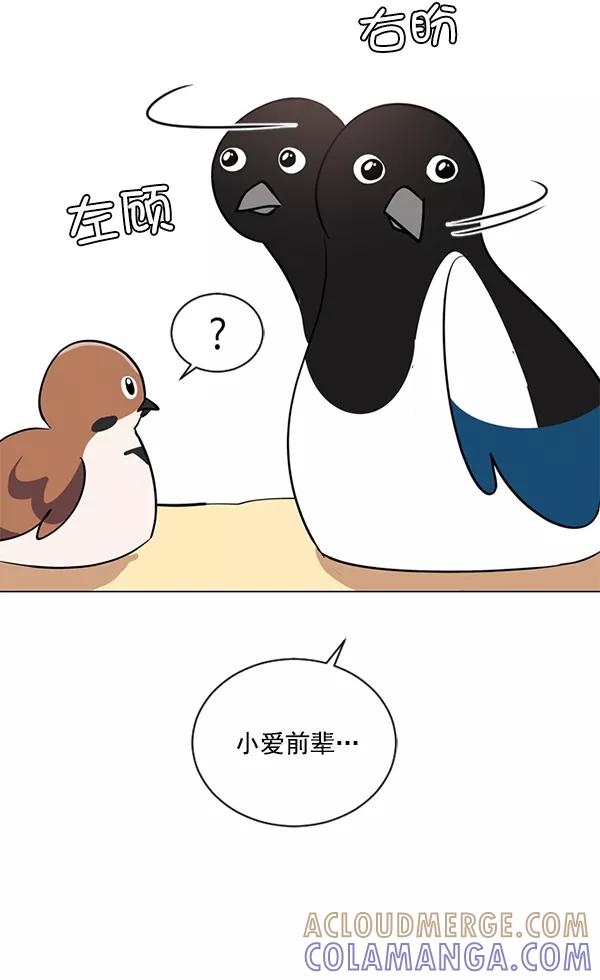 《小麻雀求婚记》第38话 第49页
