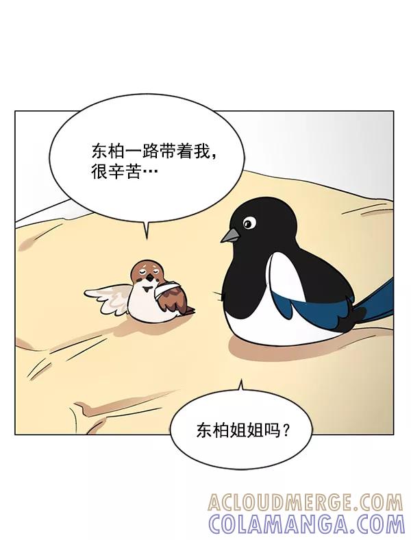 《小麻雀求婚记》第38话 第46页