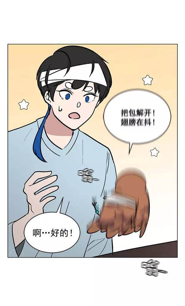 《小麻雀求婚记》第38话 第33页