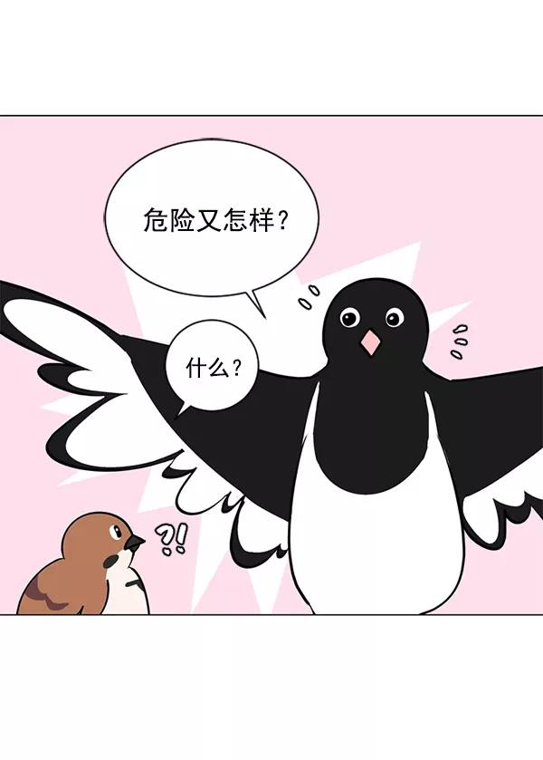 《小麻雀求婚记》第39话 第8页