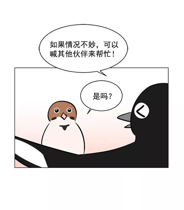 《小麻雀求婚记》第39话 第12页