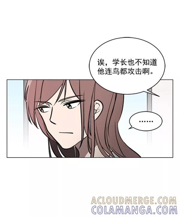 《小麻雀求婚记》第40话 第46页
