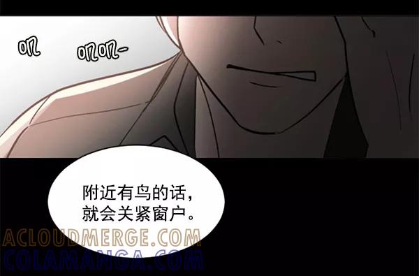 《小麻雀求婚记》第40话 第49页