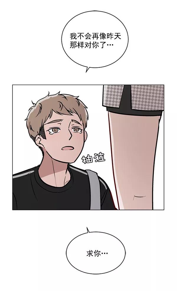 《小麻雀求婚记》第41话 第50页