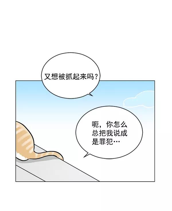 《小麻雀求婚记》第41话 第17页