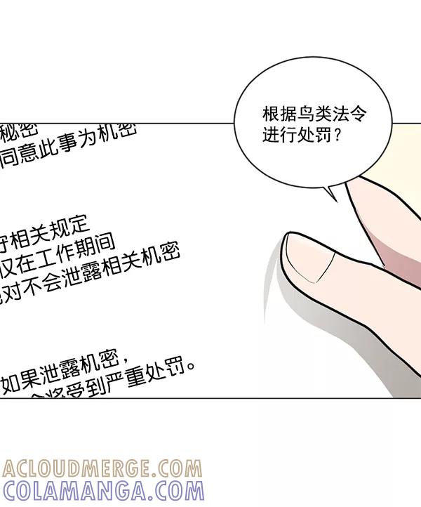 《小麻雀求婚记》第42话 第16页