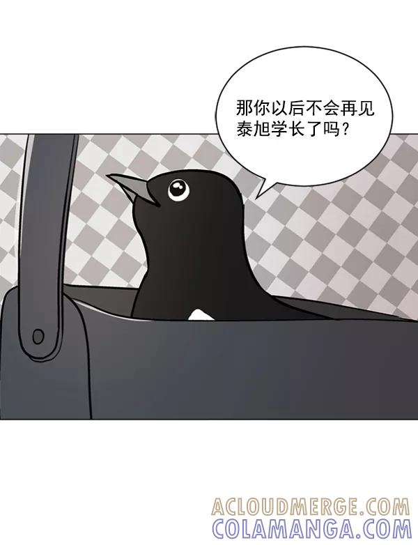 《小麻雀求婚记》第42话 第25页