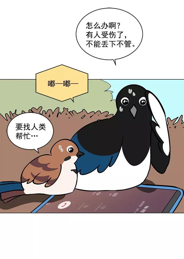 《小麻雀求婚记》第43话 第65页