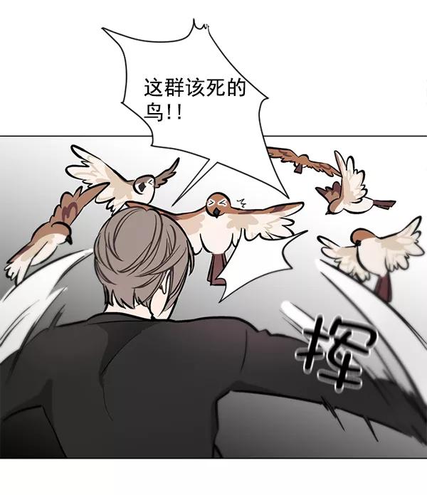 《小麻雀求婚记》第43话 第57页