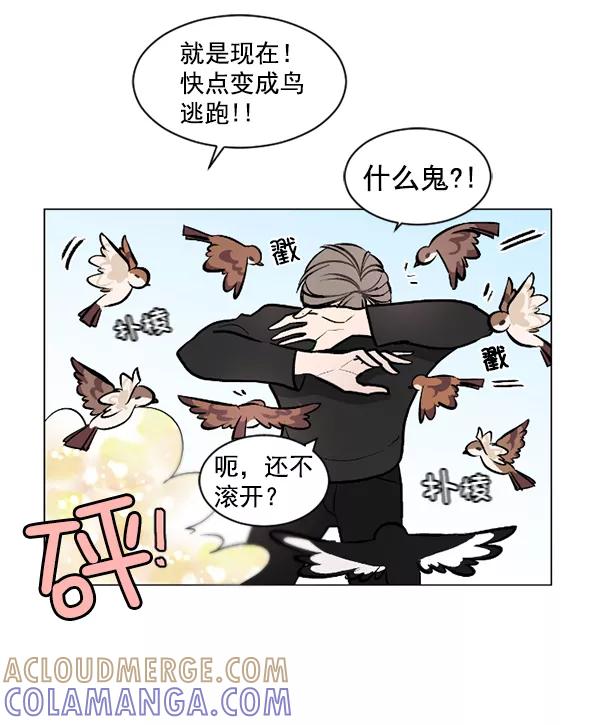 《小麻雀求婚记》第43话 第55页