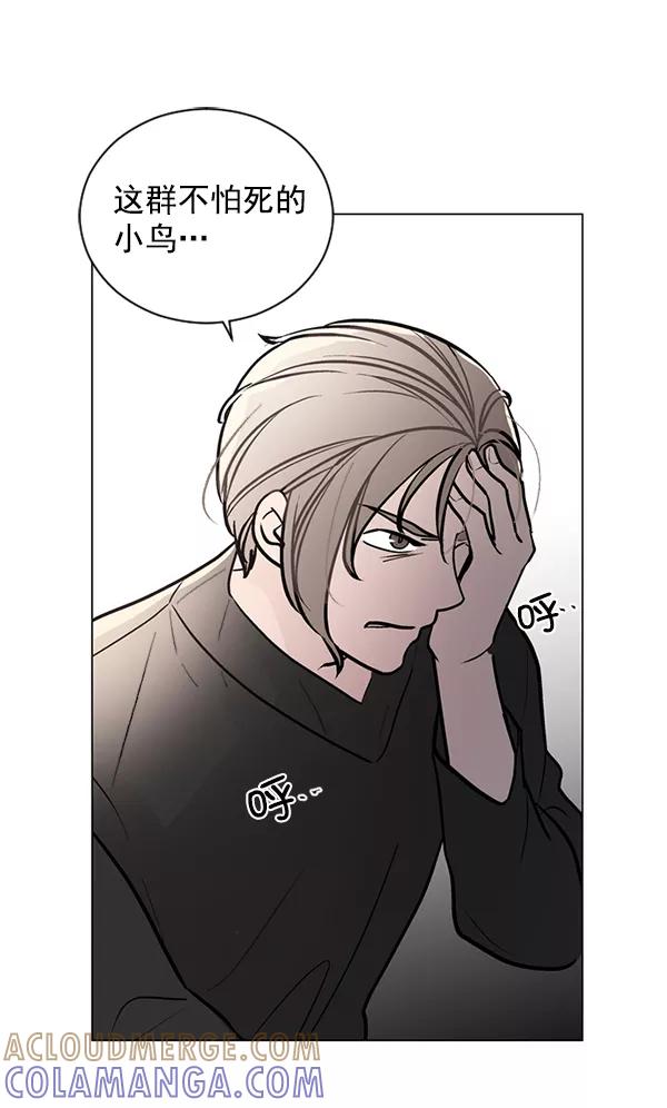 《小麻雀求婚记》第43话 第61页