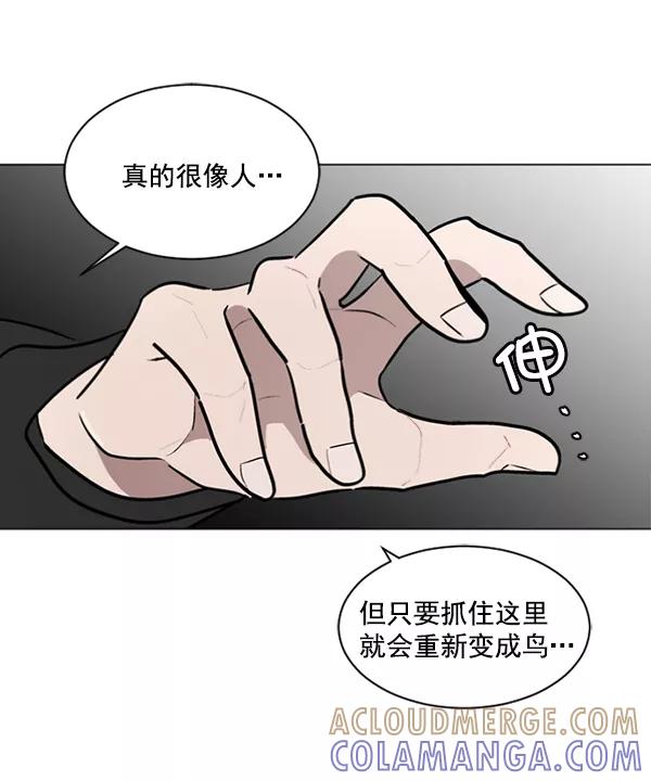 《小麻雀求婚记》第43话 第49页
