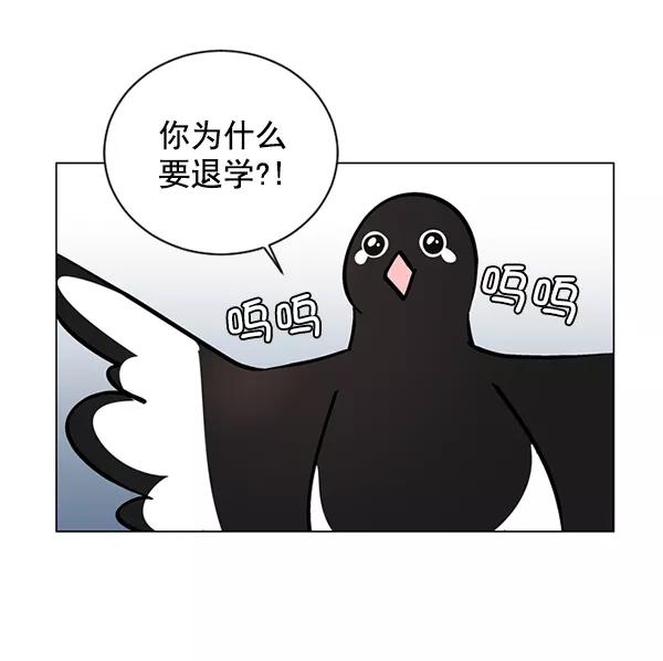 《小麻雀求婚记》第44话 第50页