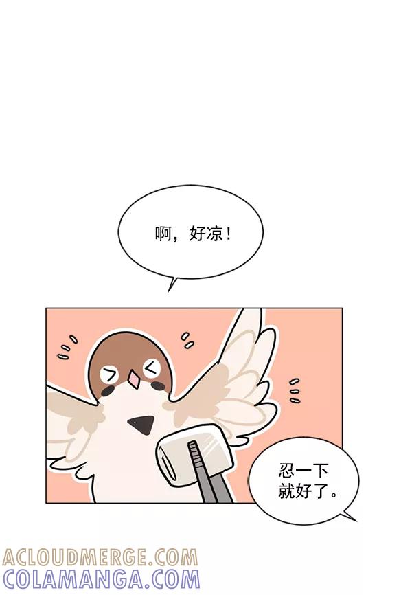 《小麻雀求婚记》第44话 第40页