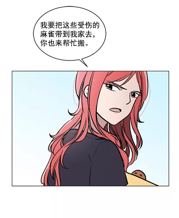 《小麻雀求婚记》第44话 第38页