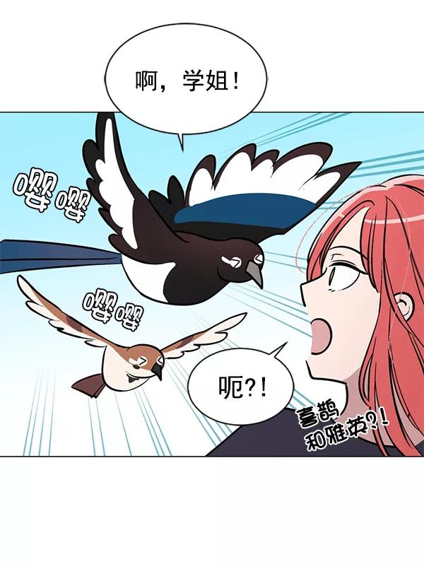 《小麻雀求婚记》第44话 第12页