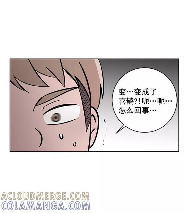 《小麻雀求婚记》第45话 第58页