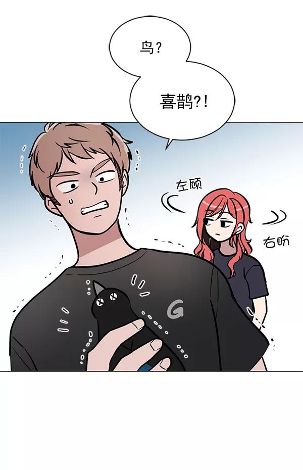 《小麻雀求婚记》第45话 第57页